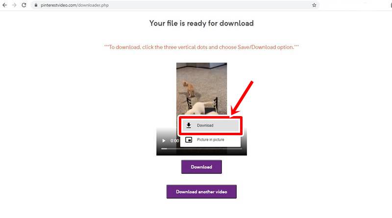 click the download button