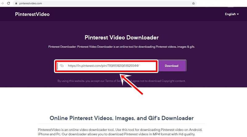 Paste the link in pinterest downloader