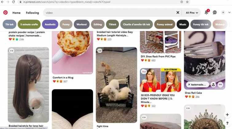 pinterest video download app pinterest video download app