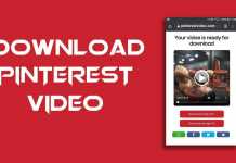 pinterest video download online