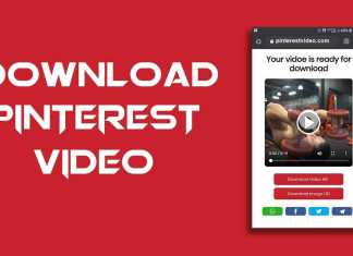 pinterest video download online