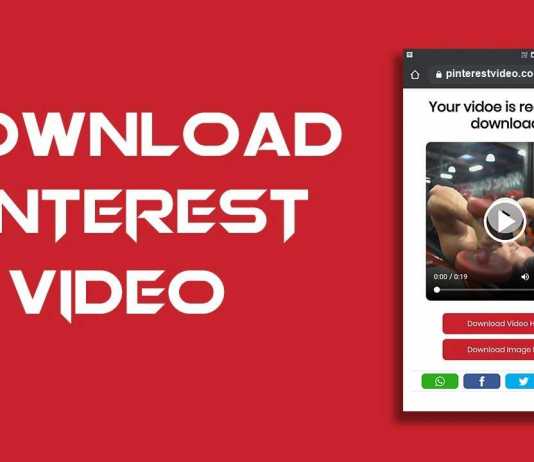 pinterest video download online